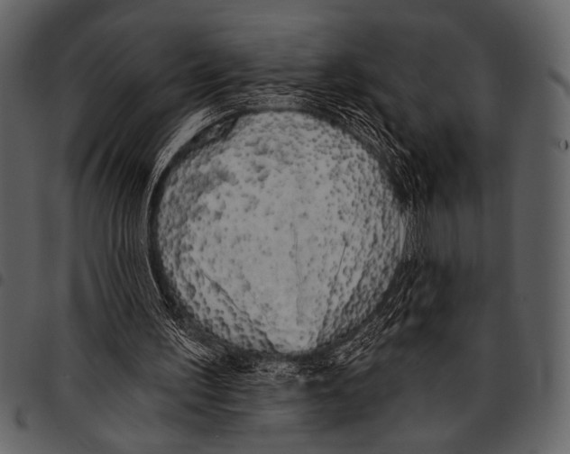 X0000097490195200803201538