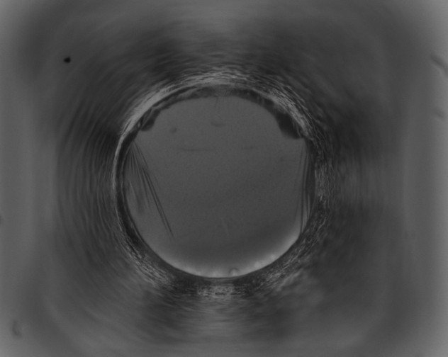 X0000097490196200803201538