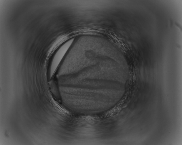 X0000097490197200803201538