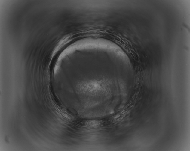 X0000097490198200803201538