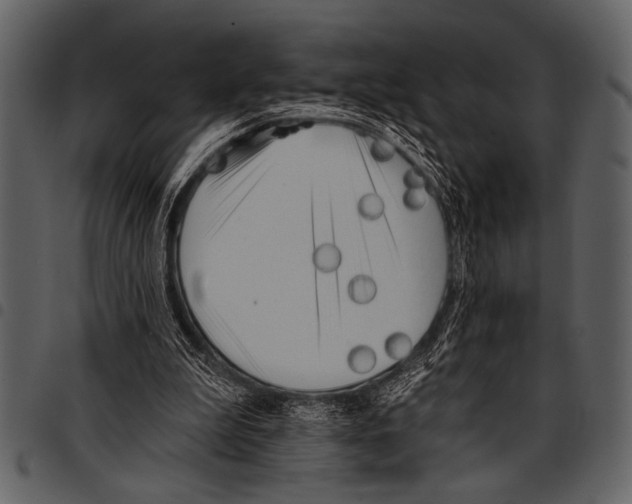 X0000097490199200803201538