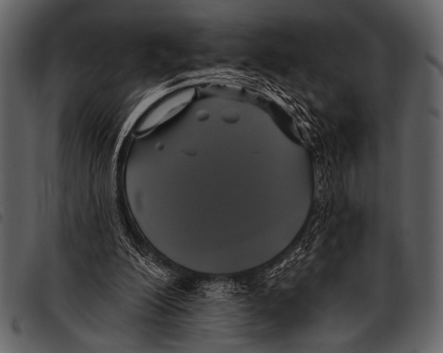 X0000097490200200803201538