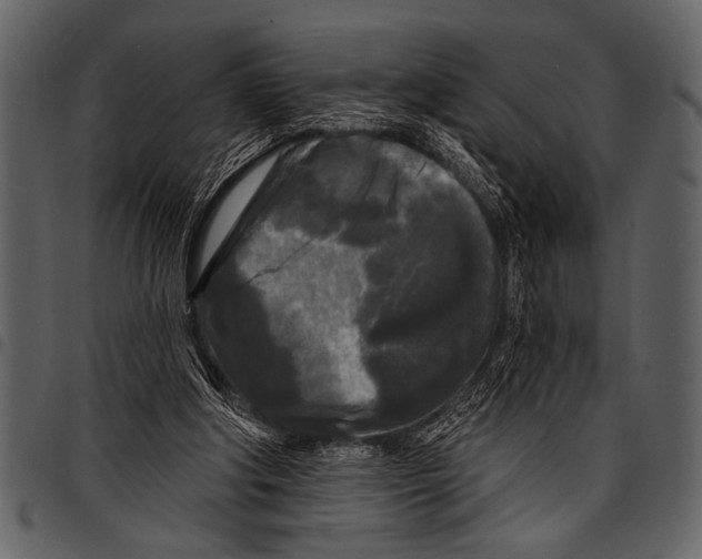 X0000097490202200803201538