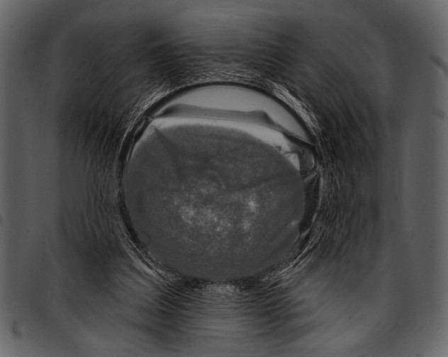 X0000097490203200803201538