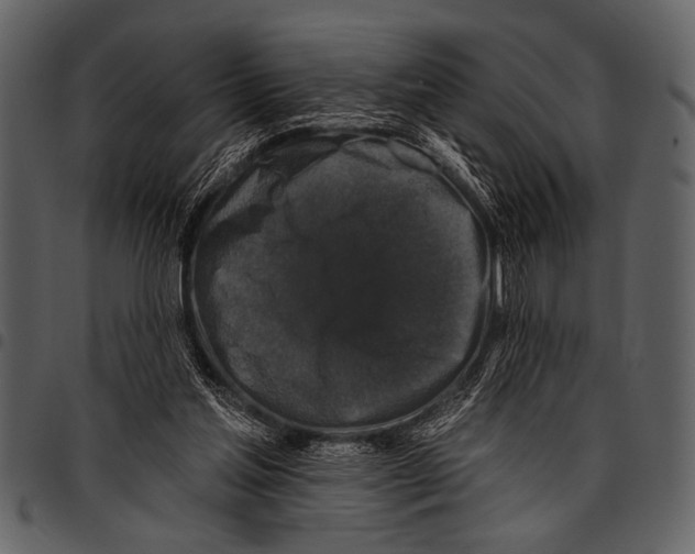 X0000097490205200803201538