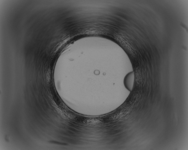 X0000097490208200803201538