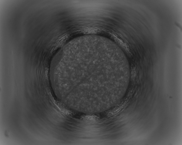 X0000097490209200803201538