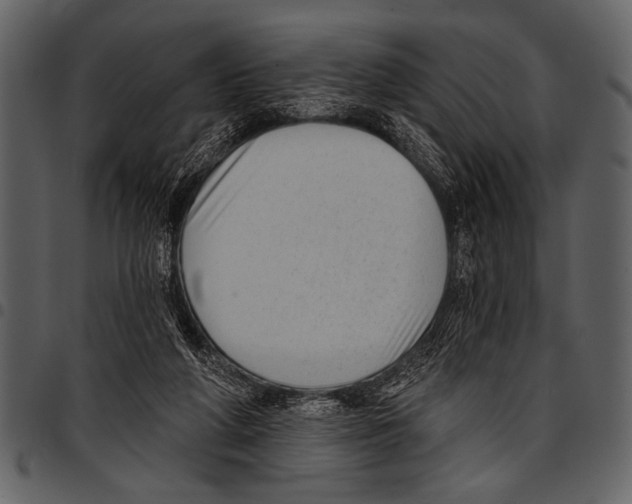 X0000097490210200803201538