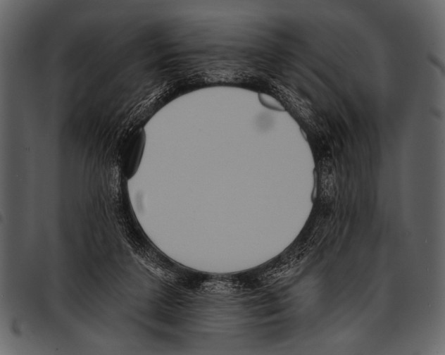 X0000097490211200803201538