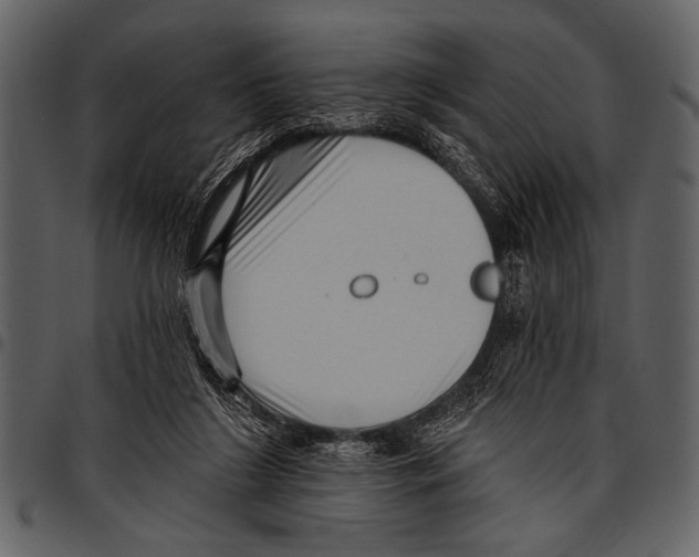 X0000097490212200803201538