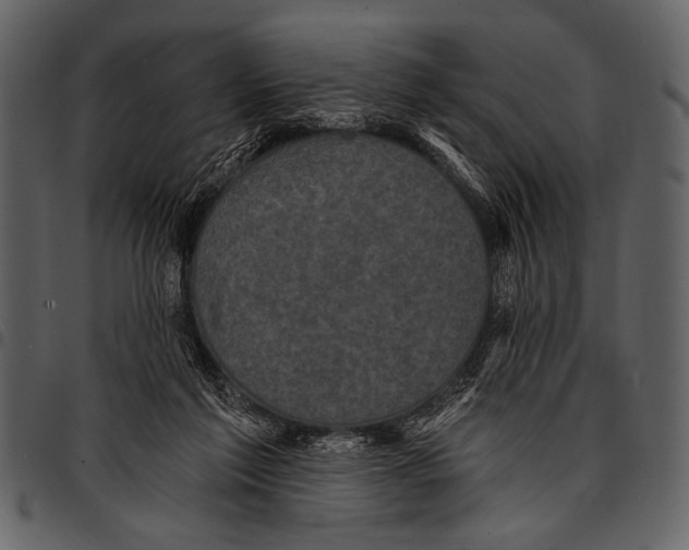 X0000097490213200803201538