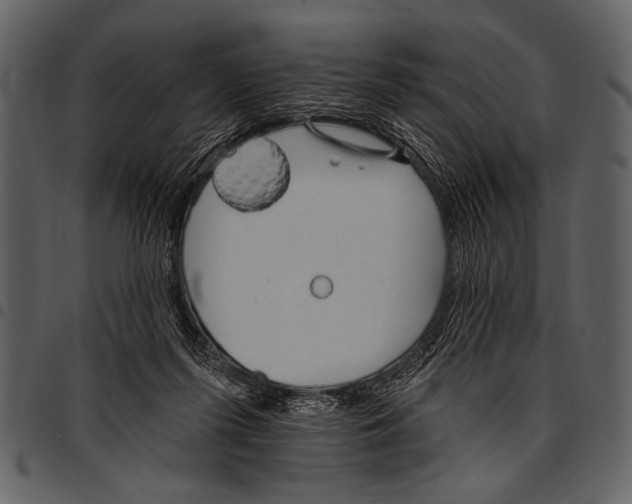 X0000097490215200803201538