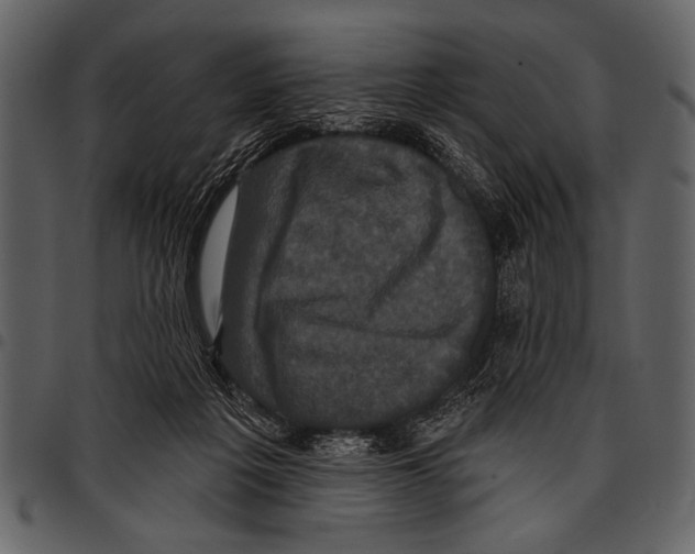 X0000097490217200803201538