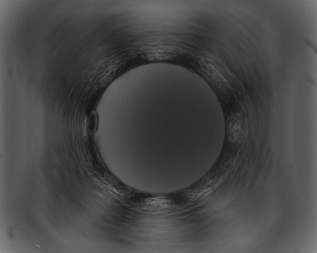 X0000097490219200803201538