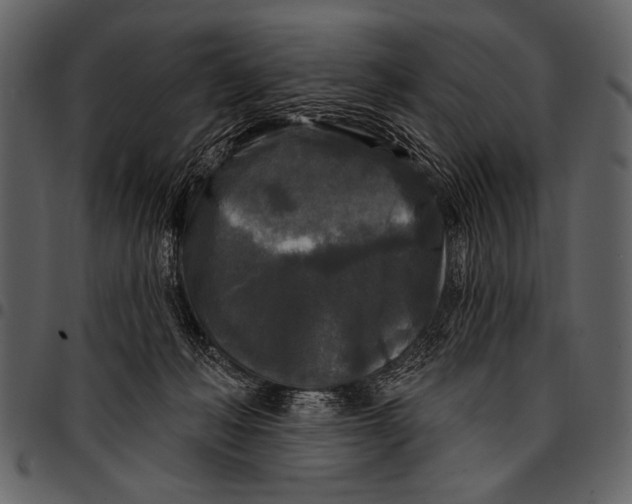 X0000097490222200803201537