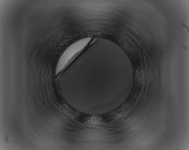 X0000097490223200803201537