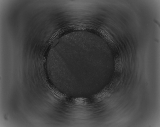 X0000097490229200803201537