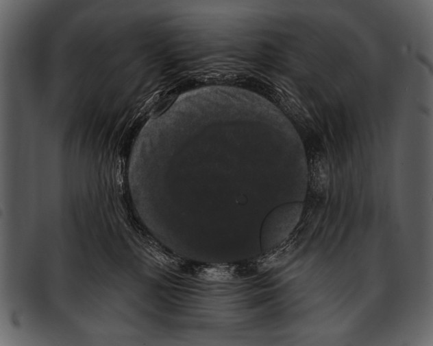 X0000097490232200803201537