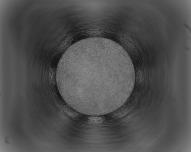 X0000097490234200803201537