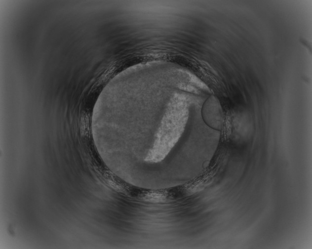 X0000097490236200803201537