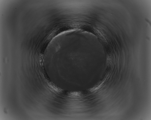 X0000097490237200803201537