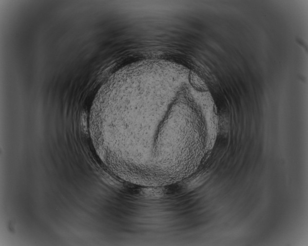 X0000097490238200803201537