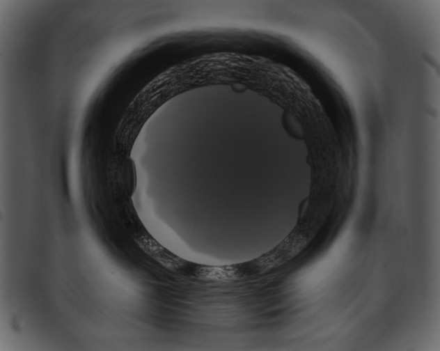 X0000097490239200803201537