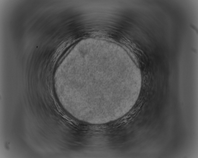 X0000097490241200803201537