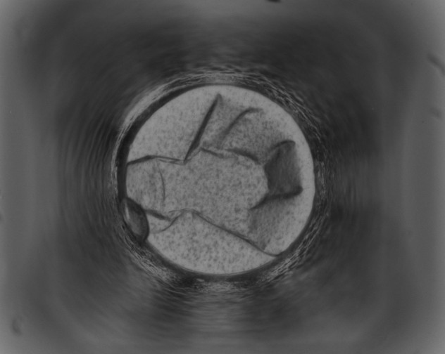 X0000097490246200803201537