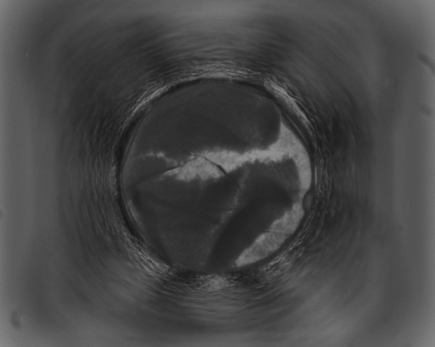 X0000097490249200803201537