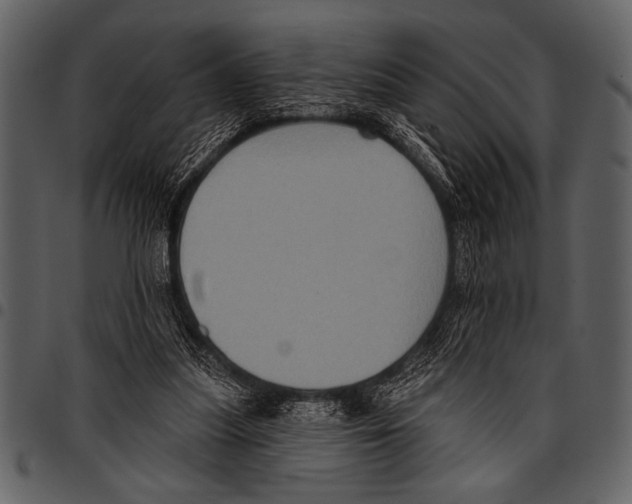 X0000097490251200803201537