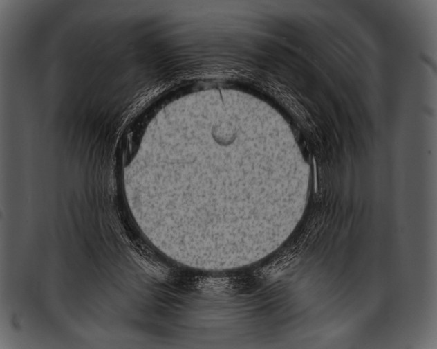 X0000097490252200803201537