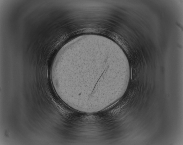 X0000097490253200803201537