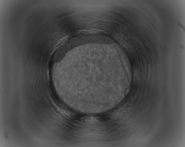 X0000097490254200803201537