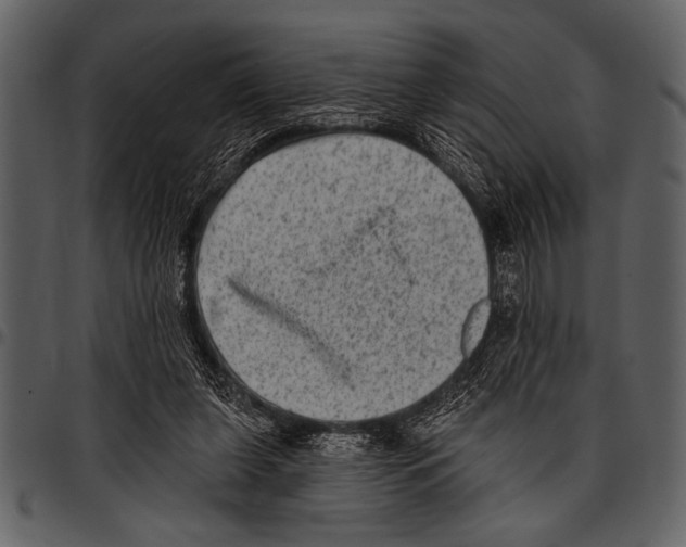 X0000097490255200803201537