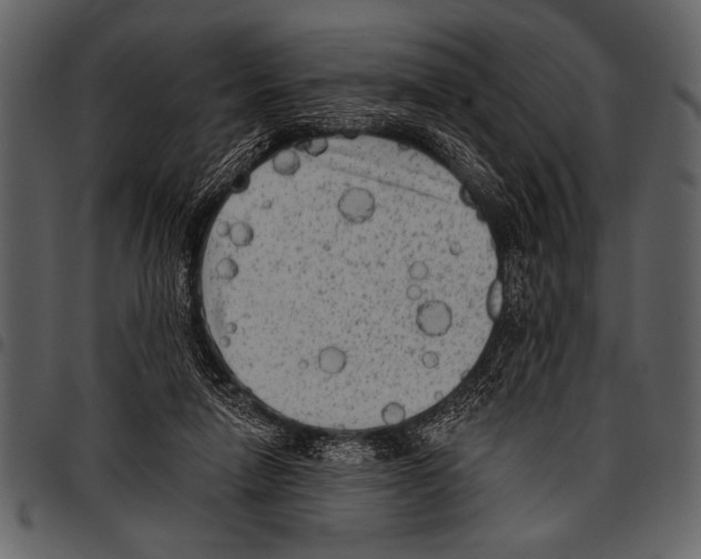 X0000097490258200803201537