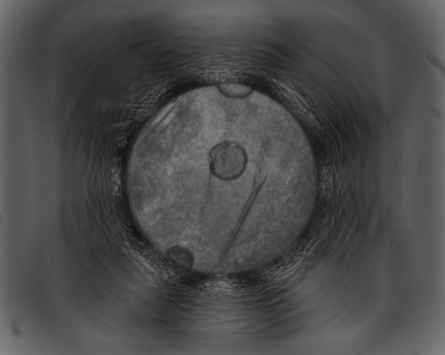 X0000097490259200803201537