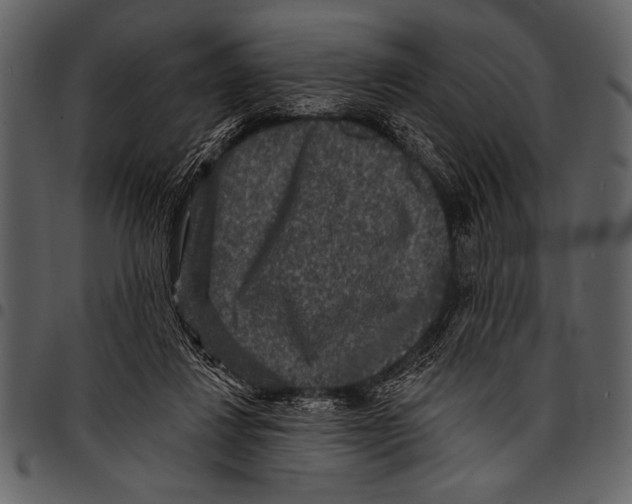 X0000097490260200803201537