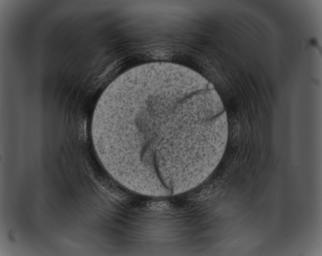 X0000097490262200803201537