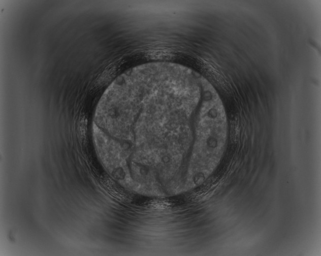 X0000097490263200803201537