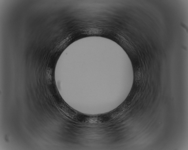 X0000097490264200803201537