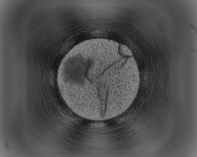 X0000097490266200803201537