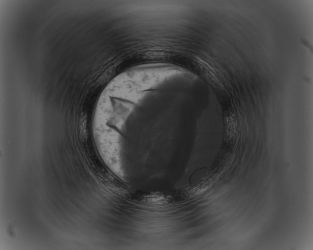 X0000097490267200803201537