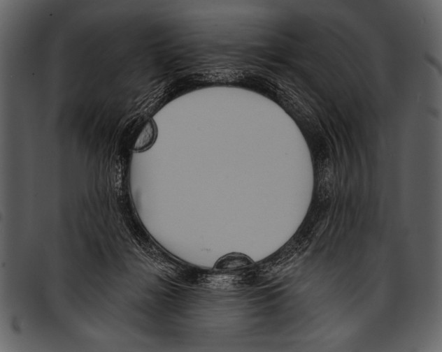 X0000097490268200803201537