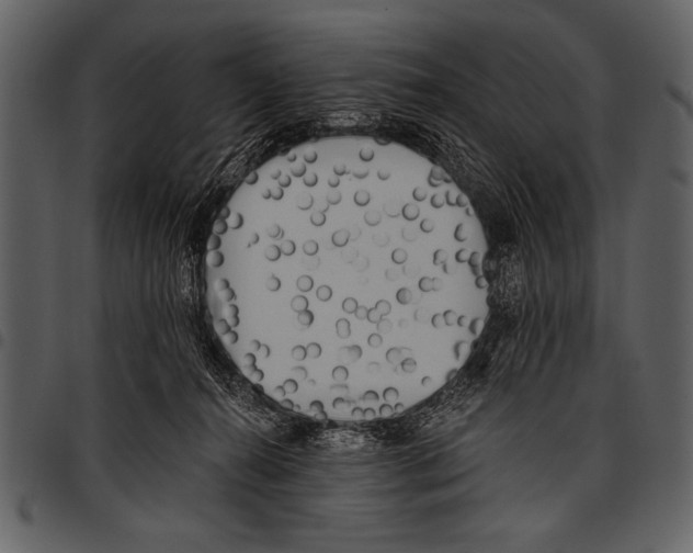 X0000097490272200803201537