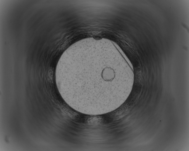 X0000097490274200803201537