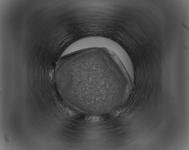 X0000097490276200803201537