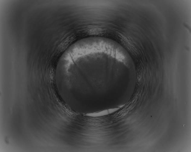 X0000097490277200803201537