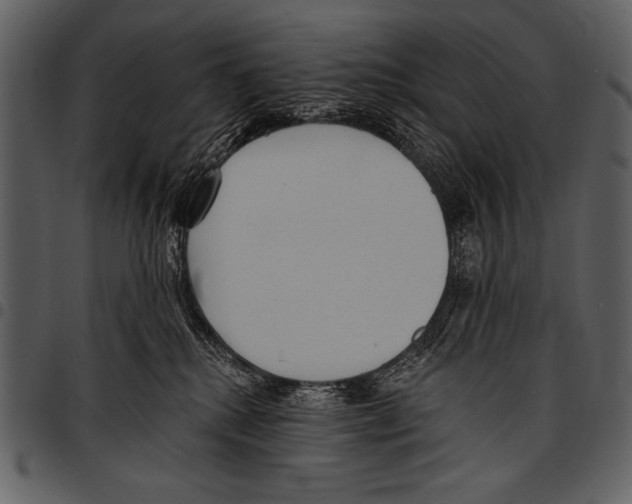 X0000097490280200803201537