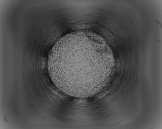 X0000097490284200803201537